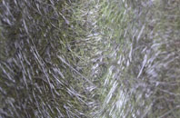 Quarry Heath fibreglass roof work